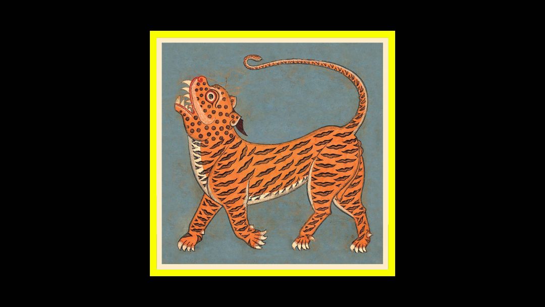C’mon Tigre – TEN