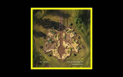 Max Casacci – Through the Grapevine, in Franciacorta (Earthphonia III)