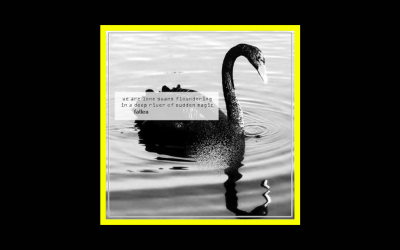 Fallen – We are lone swans floundering in a deep river or sudden magic
