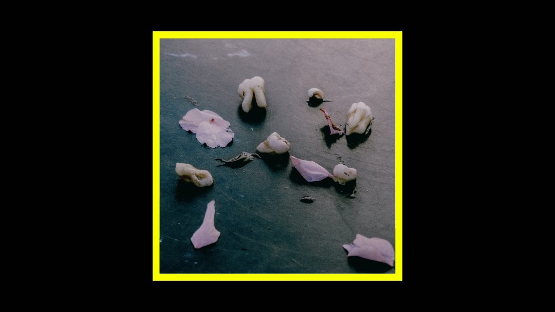 ZULI – Care