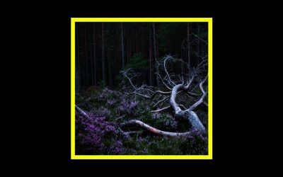 Aho Ssan & Resina – Ego Death