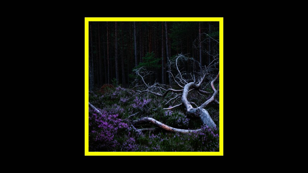 Aho Ssan & Resina – Ego Death