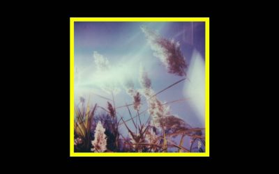 Benoit Pioulard – Stanza IV