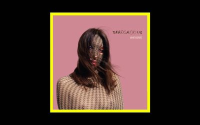 Zerogroove – Whatweare