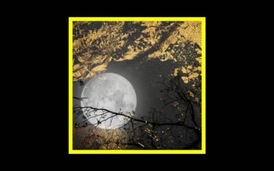 Fallen – Secret Prayers to the Wise Dormant Moon