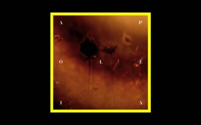 Nicola Olla – APÓLEIA