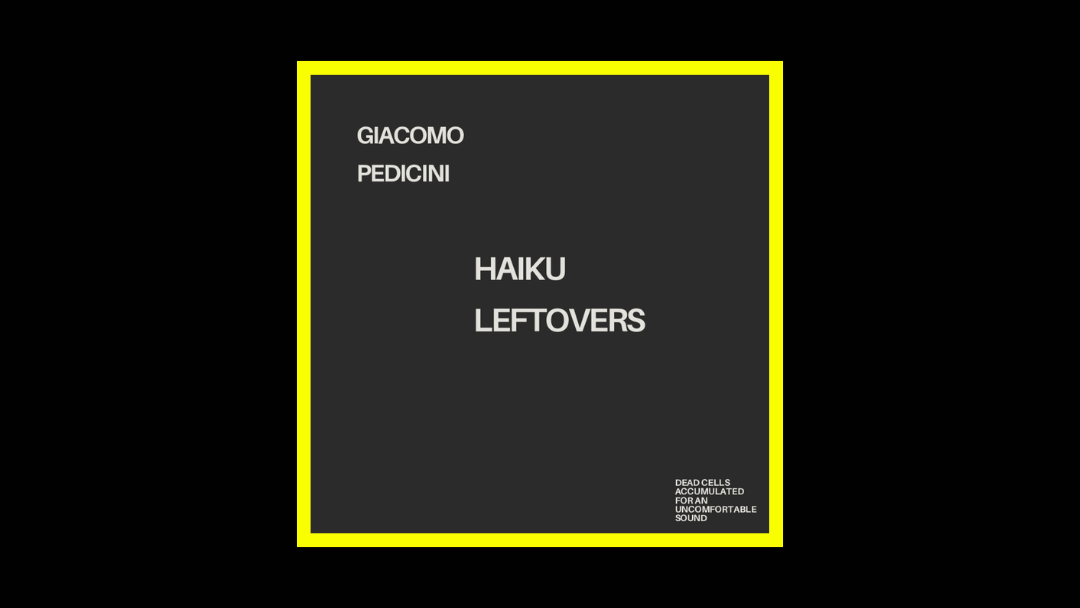 Giacomo Pedicini - Haiku Leftovers Radioaktiv