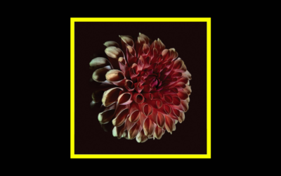 Home Radioaktiv Jessica Moss – Unfolding