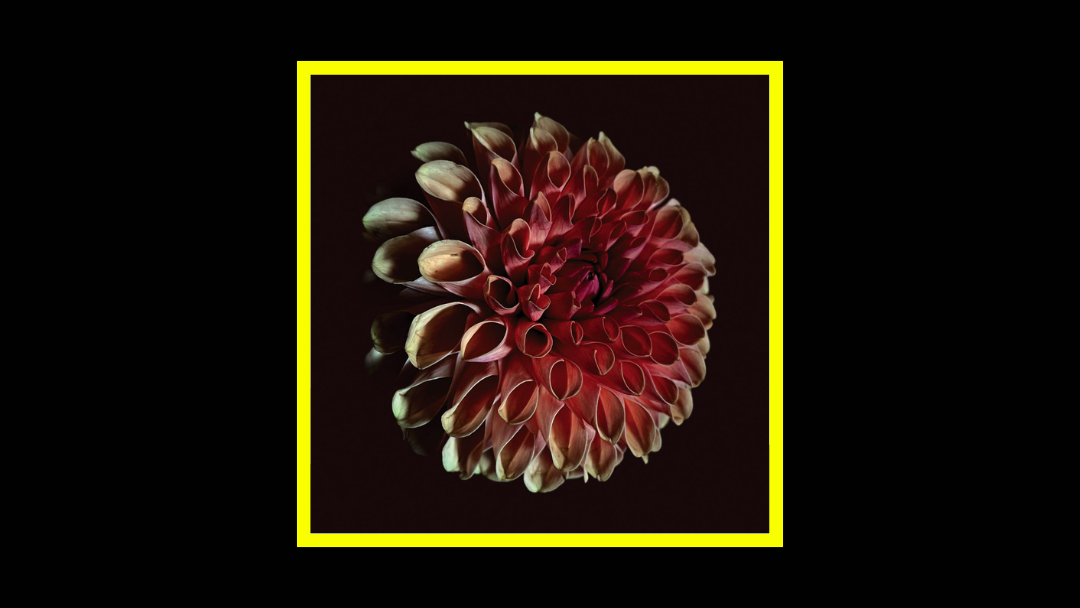 Jessica Moss - Unfolding Radioaktiv