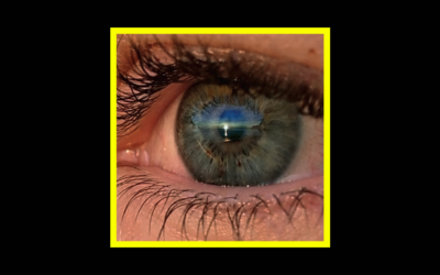 Recensioni Radioaktiv SOHN – Albadas (Dawn Song)