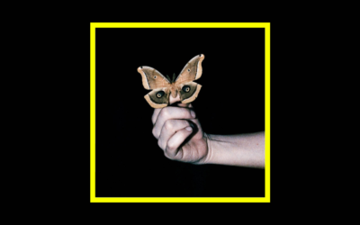 Home Radioaktiv Soulwax – All Systems Are Lying