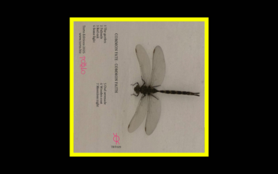 Homepage Radioaktiv Radioaktiv Common Fate – Common Fate – Common Faith