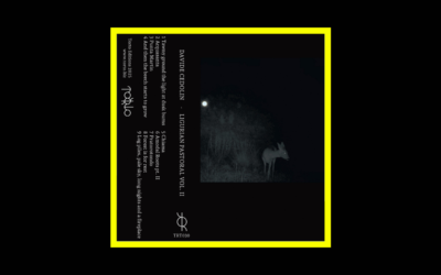 Home Radioaktiv Davide Cedolin – Ligurian Pastoral Vol. II