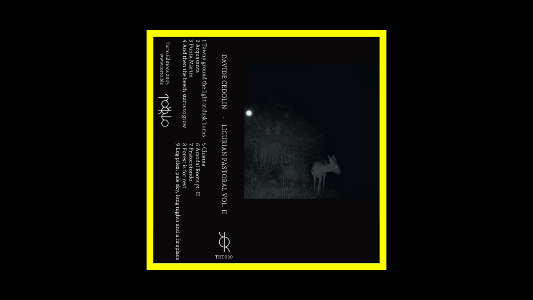 Davide Cedolin - Ligurian Pastoral Vol. II Radioaktiv