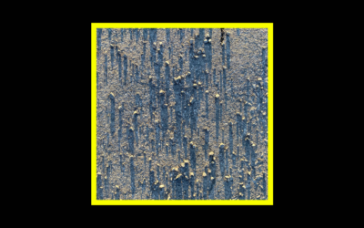 Homepage Radioaktiv Radioaktiv Silver Liz – III