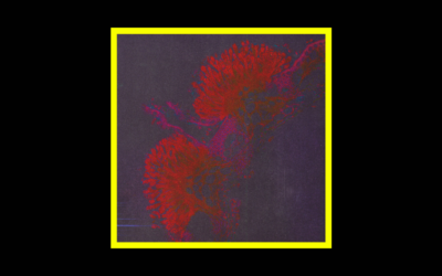 Recensioni Radioaktiv John Canning – Abstract Impressionism