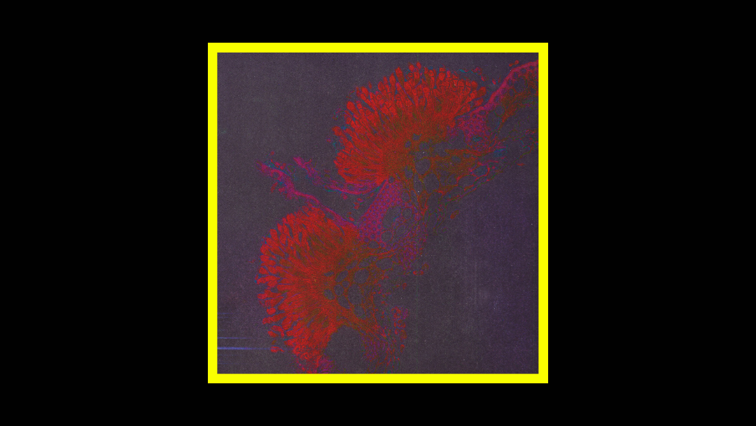 John Canning – Abstract Impressionism