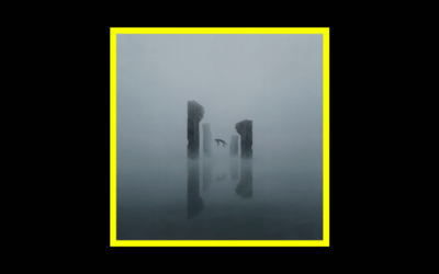 Nicola Olla – Dissolution