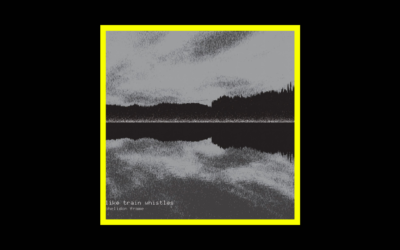 Recensioni Radioaktiv Chelidon Frame – Like Train Whistles