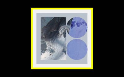 Homepage Radioaktiv Radioaktiv Lusine – Melting Days